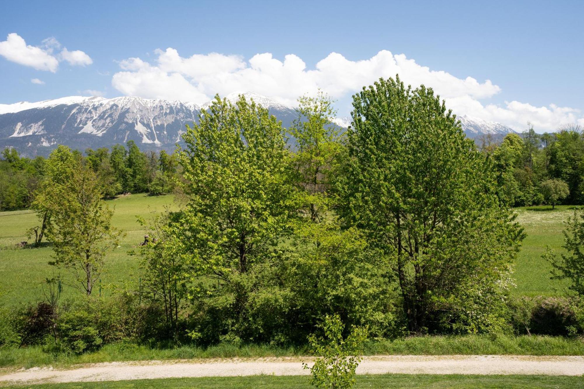 Mountain Suite Jula Bled Bagian luar foto